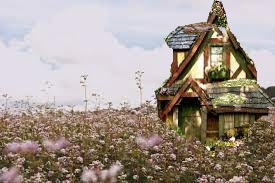Maybelle's fantasy setting