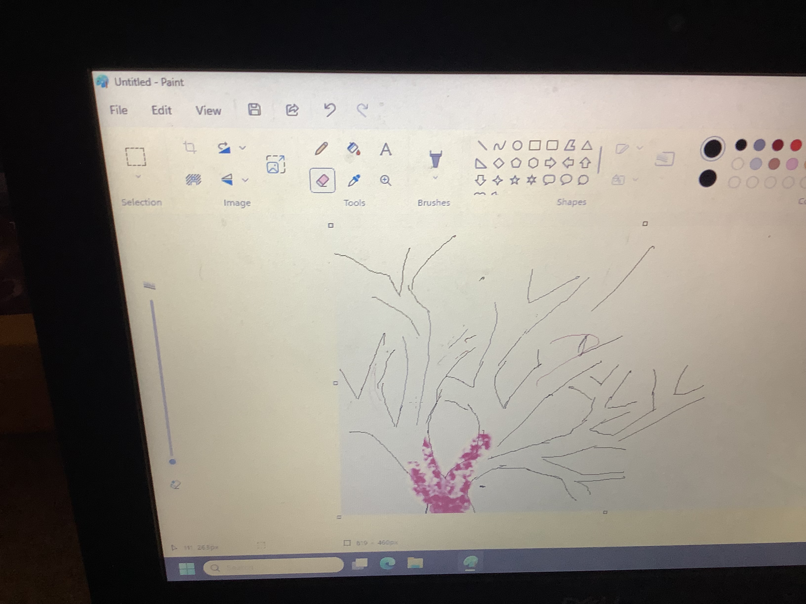 Anaya's digital tree